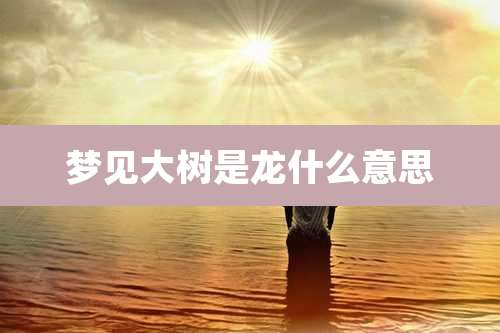 梦见大树是龙什么意思