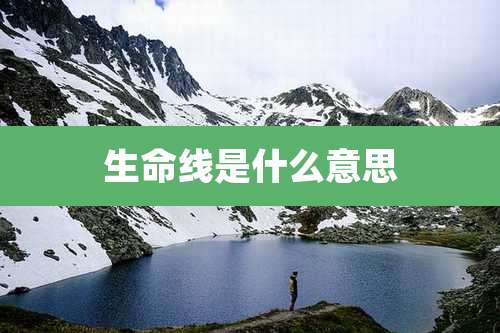 生命线是什么意思