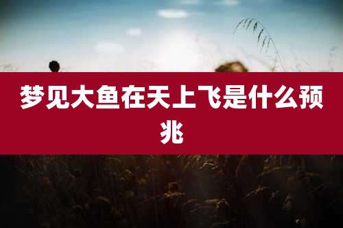 梦见大鱼在天上飞是什么预兆