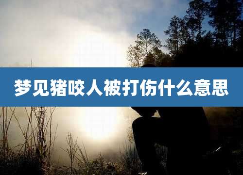 梦见猪咬人被打伤什么意思