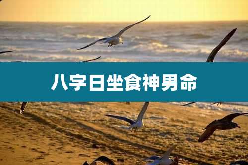 八字日坐食神男命