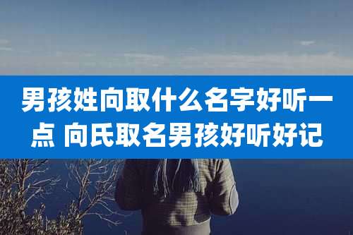 男孩姓向取什么名字好听一点 向氏取名男孩好听好记