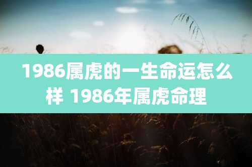 1986属虎的一生命运怎么样 1986年属虎命理