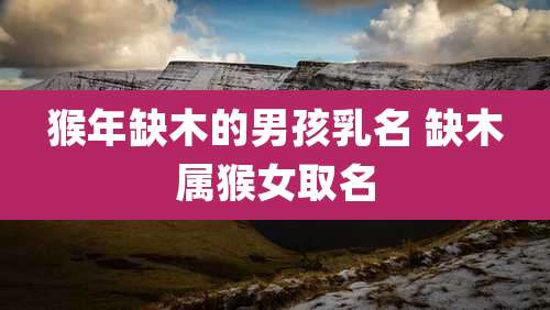 猴年缺木的男孩乳名 缺木属猴女取名