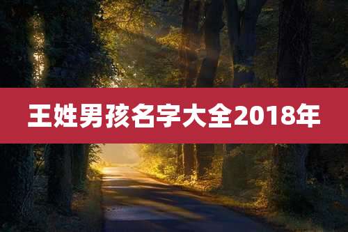 王姓男孩名字大全2018年