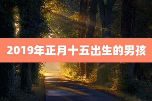 2019年正月十五出生的男孩