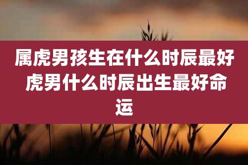 属虎男孩生在什么时辰最好 虎男什么时辰出生最好命运