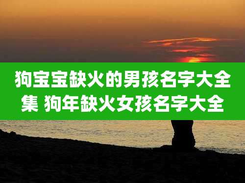 狗宝宝缺火的男孩名字大全集 狗年缺火女孩名字大全