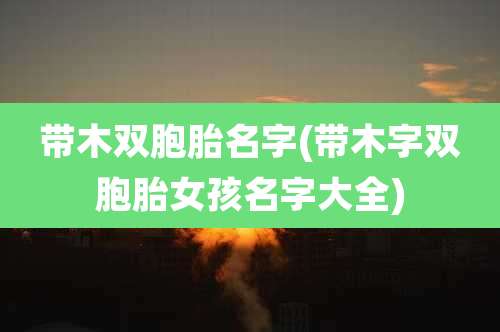 带木双胞胎名字(带木字双胞胎女孩名字大全)