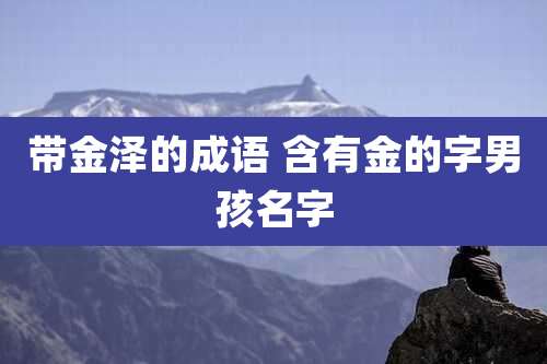 带金泽的成语 含有金的字男孩名字