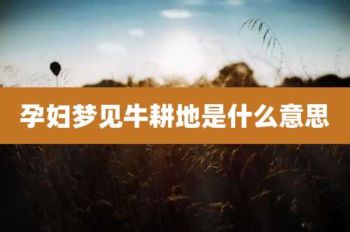 孕妇梦见牛耕地是什么意思