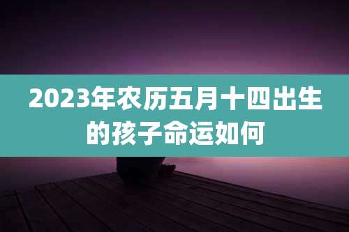 2023年农历五月十四出生的孩子命运如何
