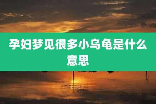 孕妇梦见很多小乌龟是什么意思
