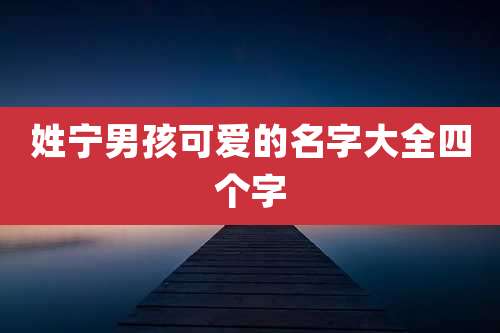 姓宁男孩可爱的名字大全四个字