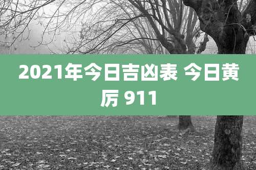 2021年今日吉凶表 今日黄厉 911