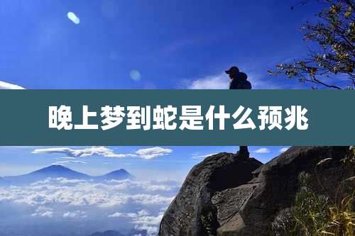 晚上梦到蛇是什么预兆