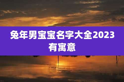 兔年男宝宝名字大全2023有寓意