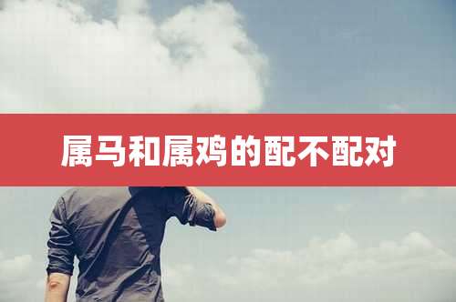属马和属鸡的配不配对