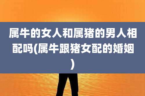 属牛的女人和属猪的男人相配吗(属牛跟猪女配的婚姻)