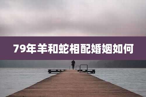 79年羊和蛇相配婚姻如何