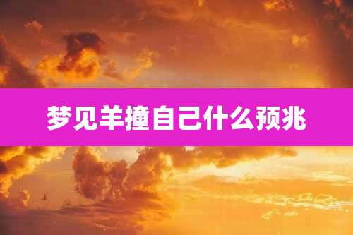 梦见羊撞自己什么预兆