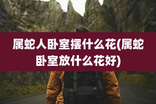 属蛇人卧室摆什么花(属蛇卧室放什么花好)