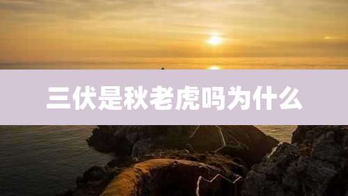 三伏是秋老虎吗为什么