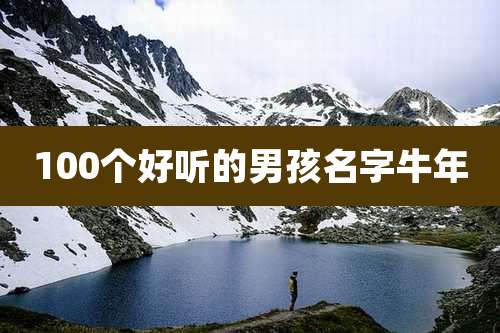 100个好听的男孩名字牛年