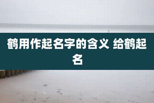 鹤用作起名字的含义 给鹤起名