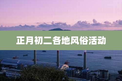 正月初二各地风俗活动