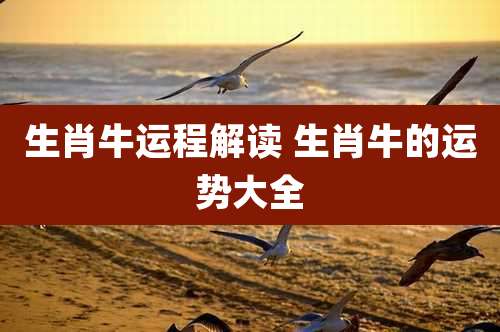 生肖牛运程解读 生肖牛的运势大全