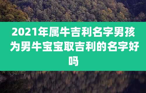 2021年属牛吉利名字男孩 为男牛宝宝取吉利的名字好吗