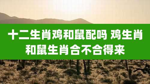 十二生肖鸡和鼠配吗 鸡生肖和鼠生肖合不合得来