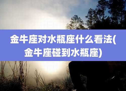 金牛座对水瓶座什么看法(金牛座碰到水瓶座)