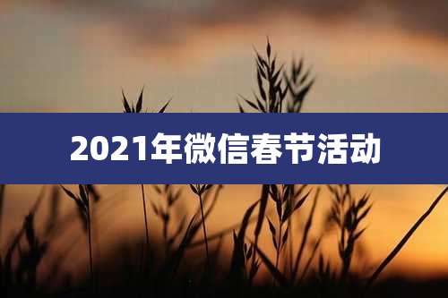 2021年微信春节活动