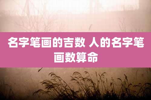 名字笔画的吉数 人的名字笔画数算命