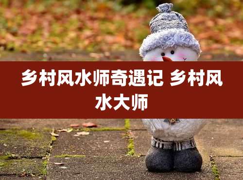 乡村风水师奇遇记 乡村风水大师