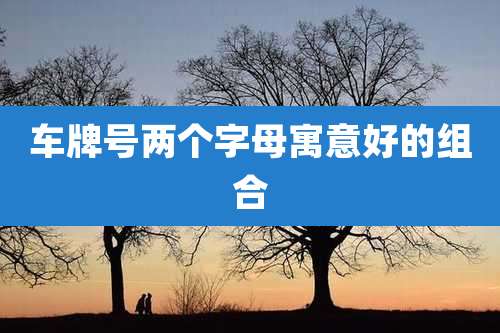 车牌号两个字母寓意好的组合