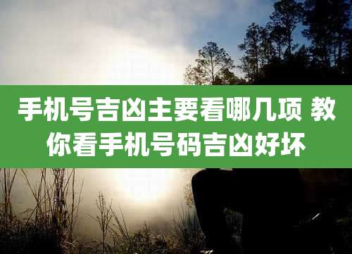 手机号吉凶主要看哪几项 教你看手机号码吉凶好坏
