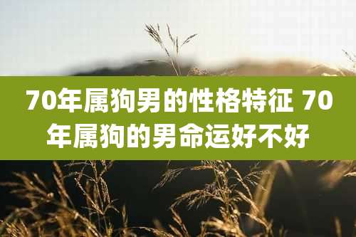 70年属狗男的性格特征 70年属狗的男命运好不好