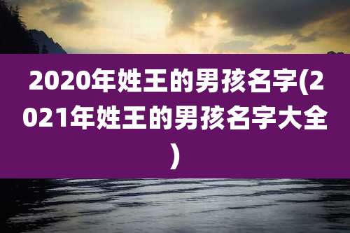 2020年姓王的男孩名字(2021年姓王的男孩名字大全)
