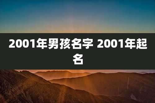 2001年男孩名字 2001年起名