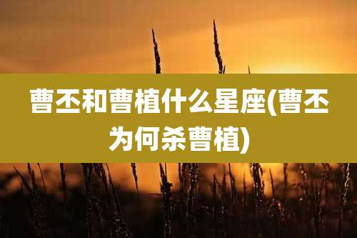 曹丕和曹植什么星座(曹丕为何杀曹植)