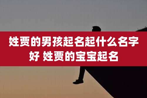 姓贾的男孩起名起什么名字好 姓贾的宝宝起名