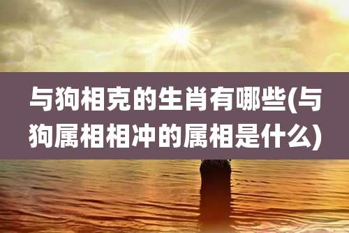 与狗相克的生肖有哪些(与狗属相相冲的属相是什么)