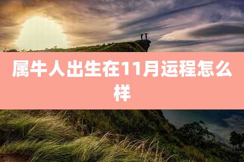 属牛人出生在11月运程怎么样