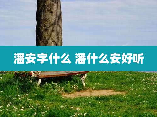 潘安字什么 潘什么安好听