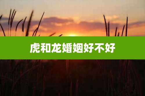 虎和龙婚姻好不好