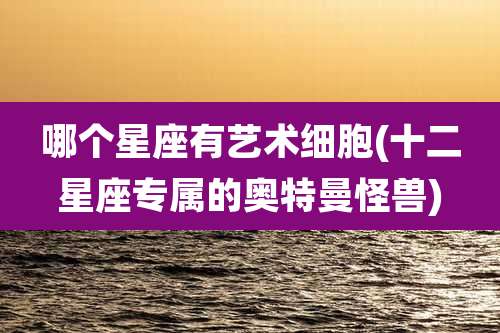 哪个星座有艺术细胞(十二星座专属的奥特曼怪兽)