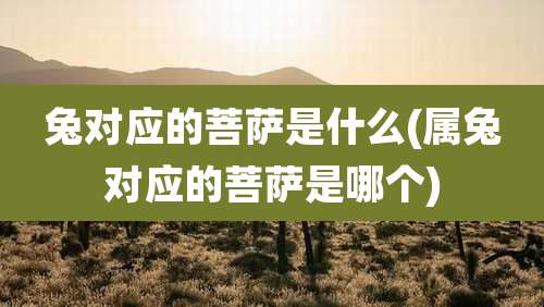 兔对应的菩萨是什么(属兔对应的菩萨是哪个)